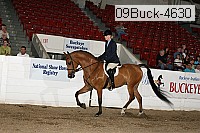 09buck-4630 proof