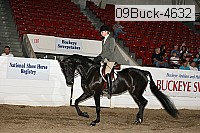 09buck-4632 proof