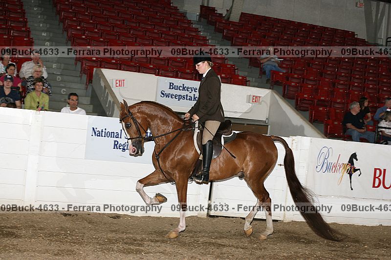 Proof 09buck-4633