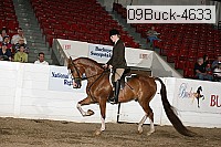 09buck-4633 proof