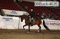 09buck-4635 proof