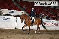 09buck-4636 proof