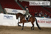 09buck-4637 proof