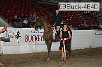09buck-4640 proof