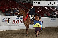 09buck-4643 proof