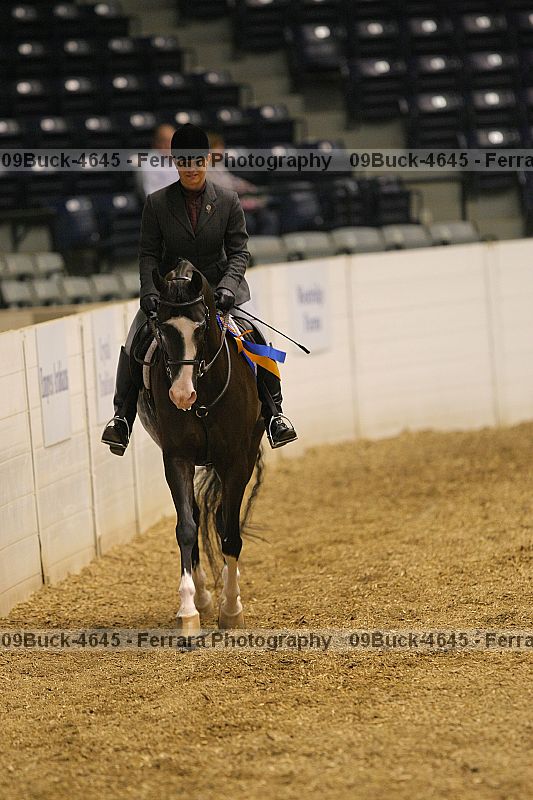 Proof 09buck-4645