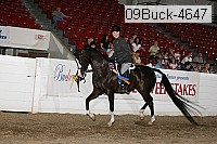 09buck-4647 proof