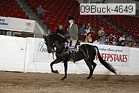 09buck-4649 proof