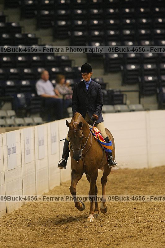 Proof 09buck-4656