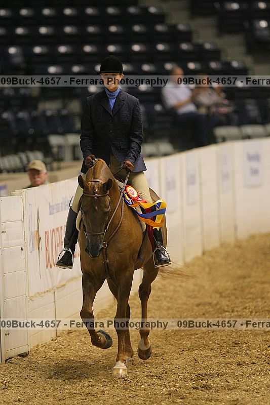 Proof 09buck-4657