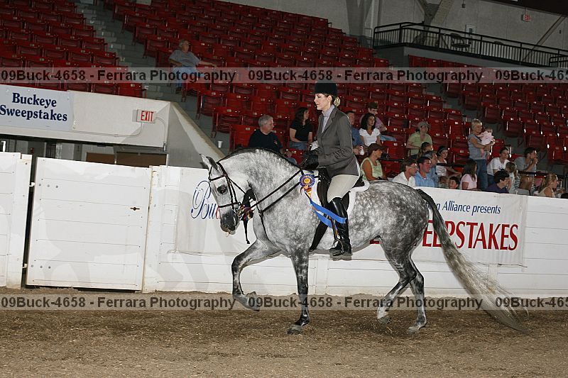 Proof 09buck-4658