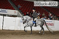 09buck-4658 proof