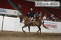 09buck-4660 proof