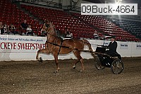 09buck-4664 proof