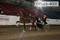 09buck-4665 proof
