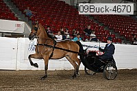 09buck-4670 proof