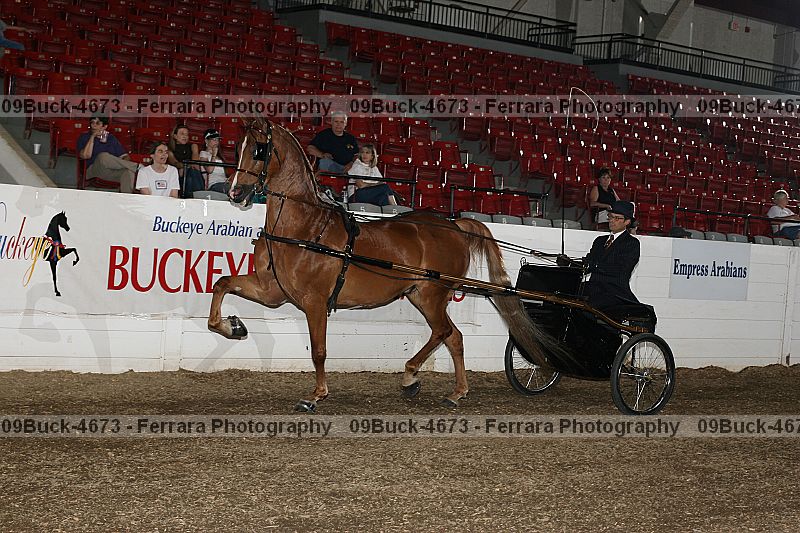 Proof 09buck-4673