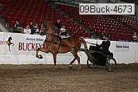 09buck-4673 proof