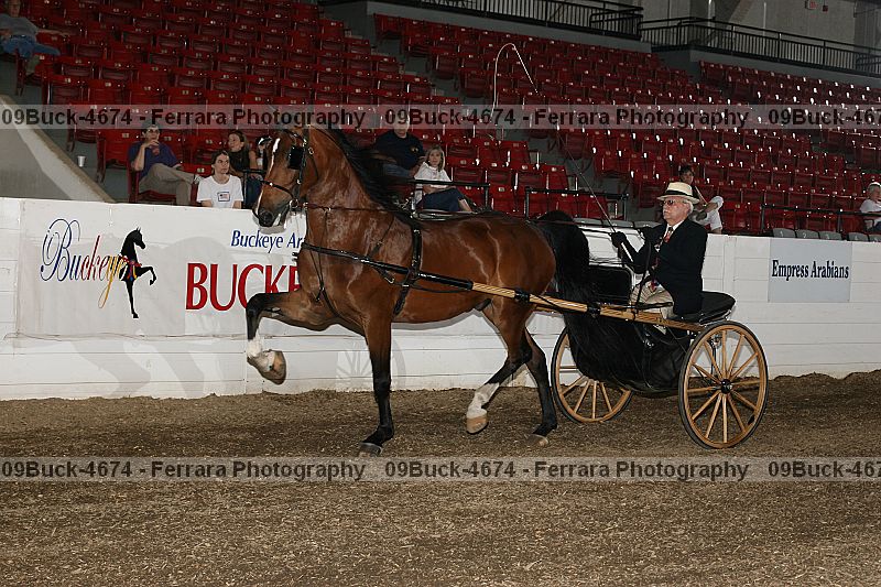 Proof 09buck-4674