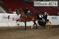 09buck-4674 proof