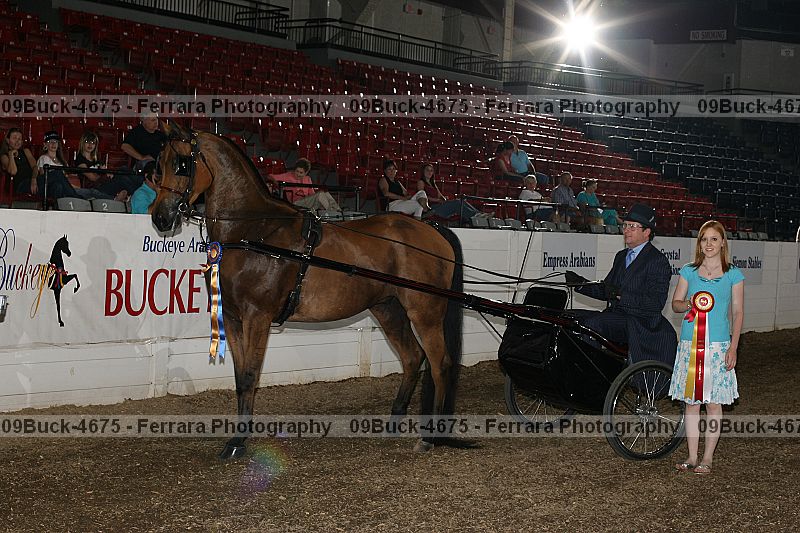 Proof 09buck-4675