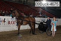 09buck-4675 proof