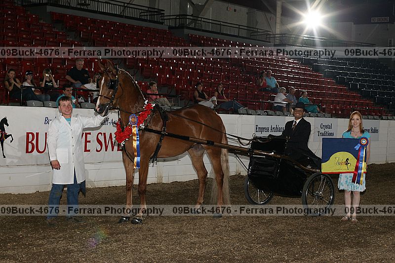 Proof 09buck-4676