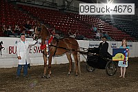 09buck-4676 proof