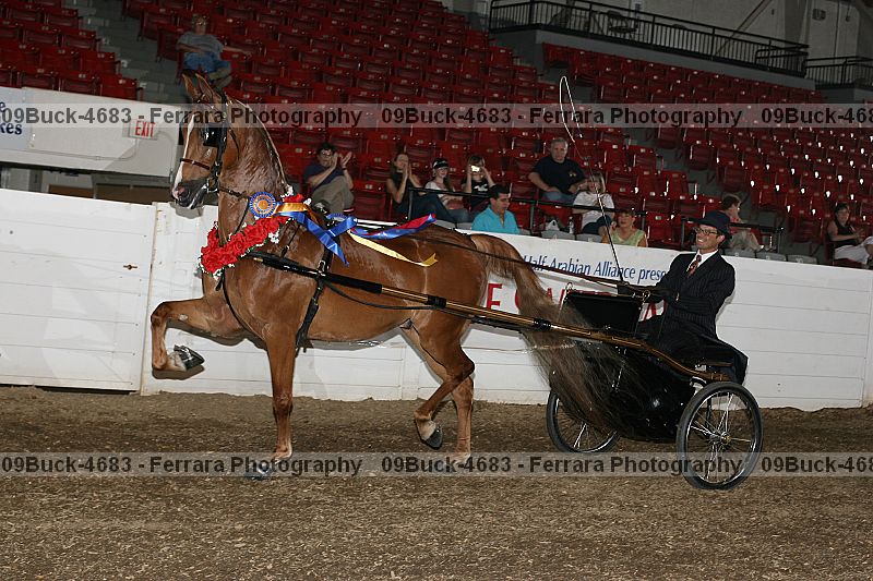 Proof 09buck-4683