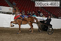 09buck-4683 proof
