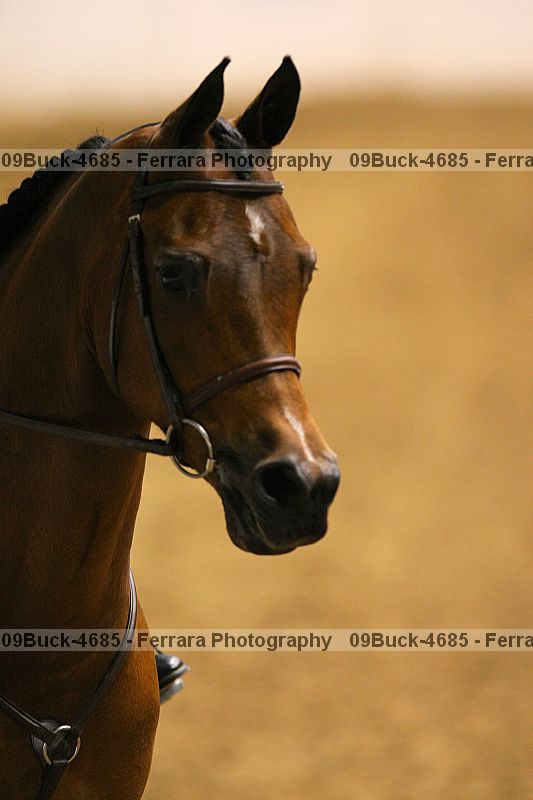 Proof 09buck-4685