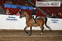 09buck-4687 proof
