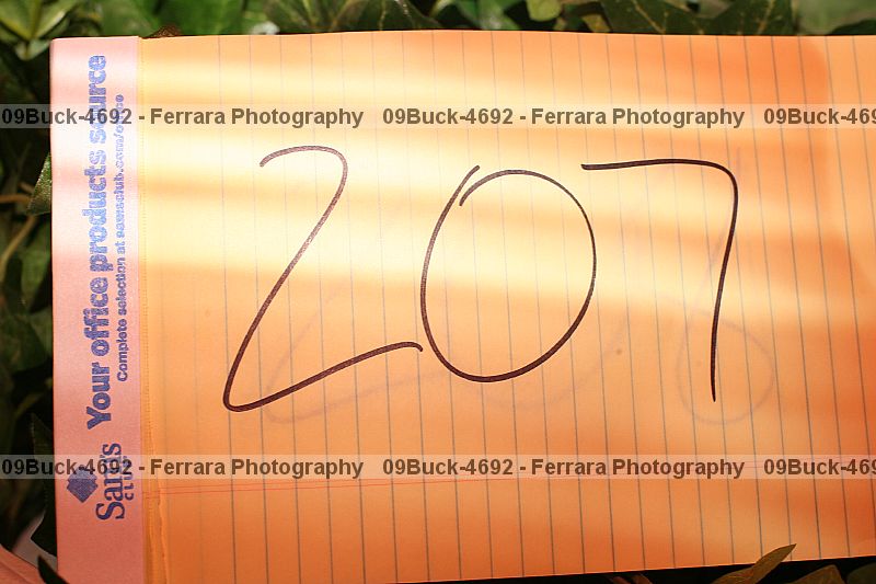 Proof 09buck-4692