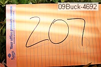 09buck-4692 proof