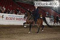 09buck-4696 proof