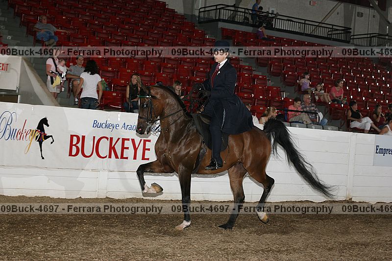 Proof 09buck-4697