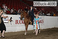 09buck-4698 proof