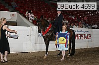 09buck-4699 proof
