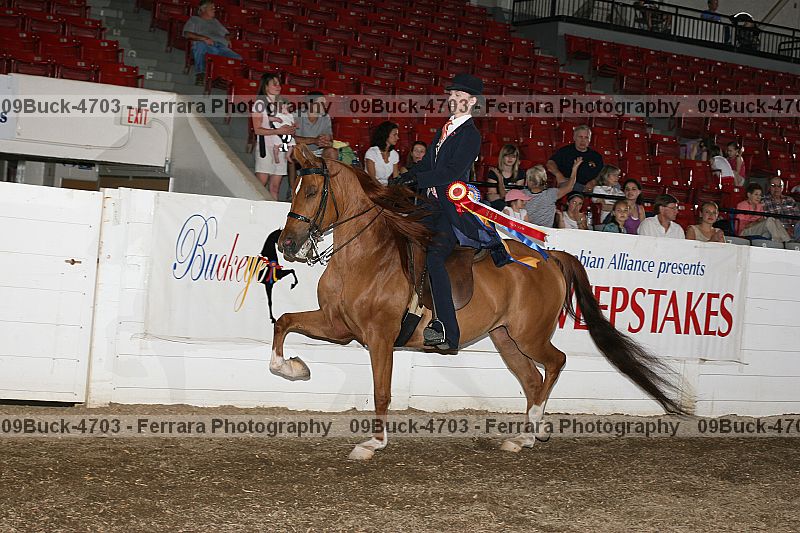 Proof 09buck-4703