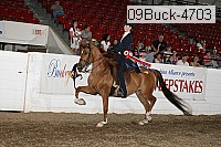 09buck-4703 proof