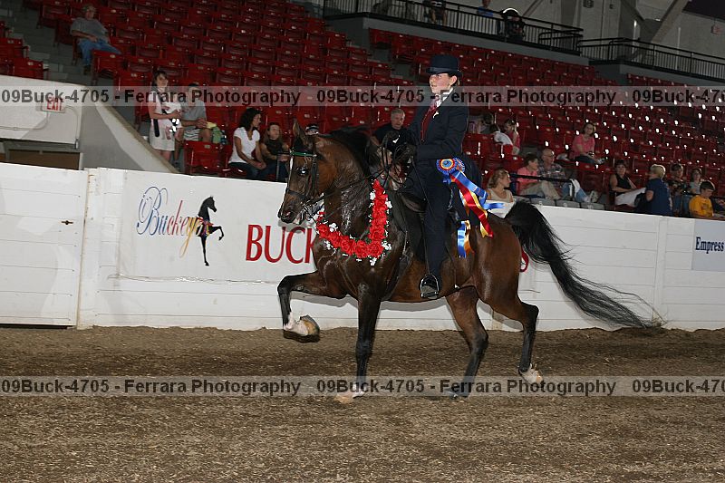 Proof 09buck-4705