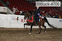 09buck-4705 proof