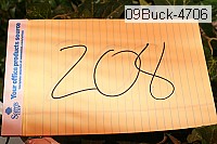 09buck-4706 proof