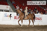 09buck-4708 proof