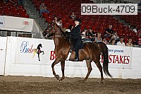 09buck-4709 proof