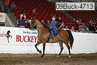 09buck-4713 proof