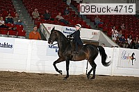 09buck-4715 proof