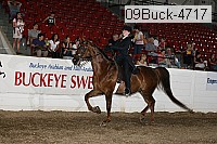 09buck-4717 proof