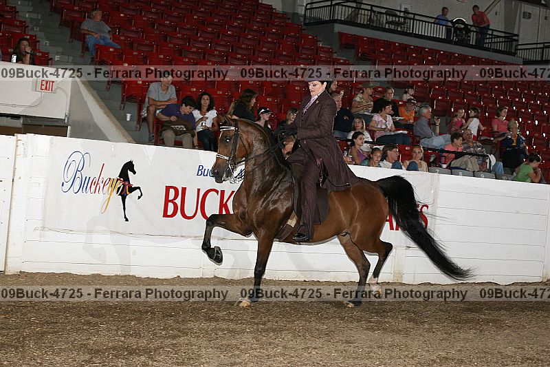 Proof 09buck-4725