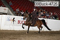 09buck-4725 proof